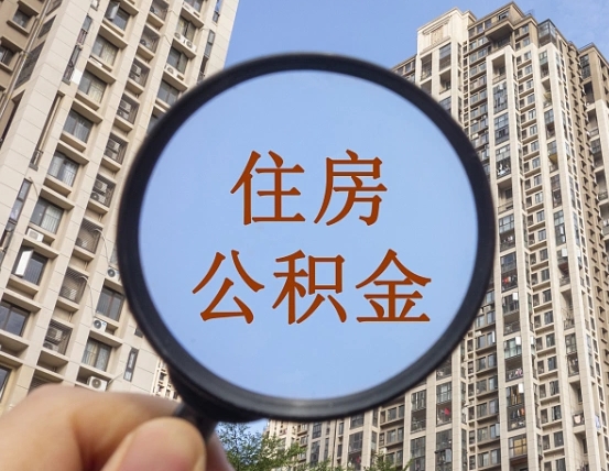 舟山退休后查不到公积金明细了吗（退休后公积金查询不到原因）